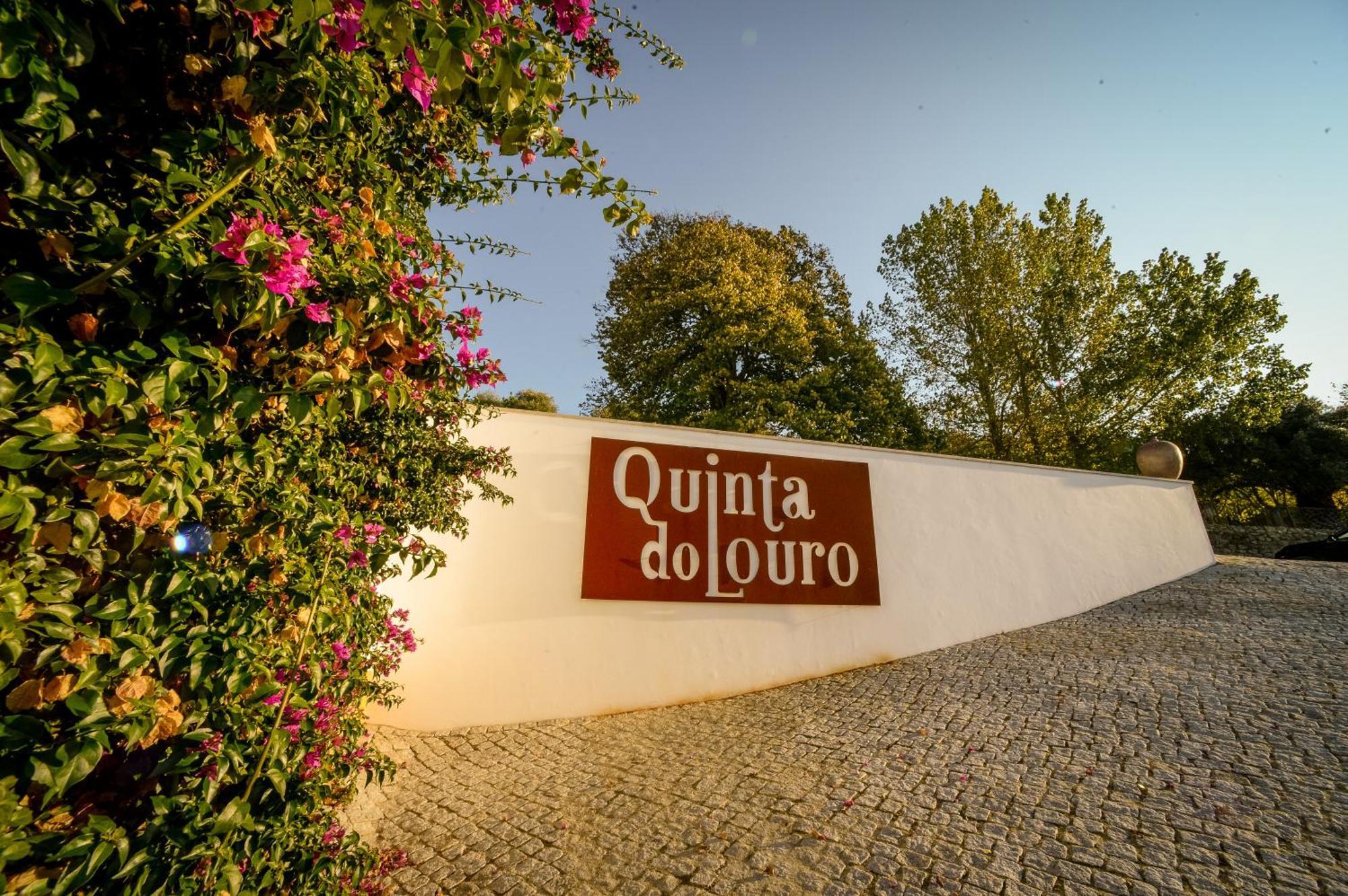 Hostal Quinta Do Louro Palmela Exterior foto